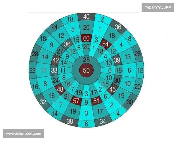 飞镖赛事资金扶持申请_飞镖大赛规则和得分
